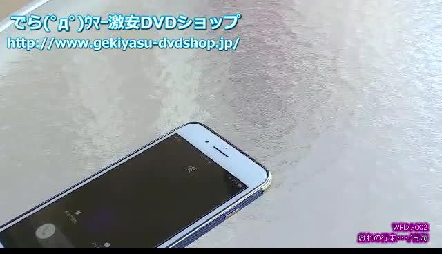 戯れの行末… 青海[WRDJ-002] | グラビアアイドルの激安DVDショップ